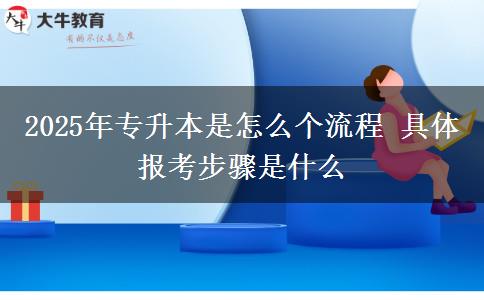 2025年專(zhuān)升本是怎么個(gè)流程 具體報(bào)考步驟是什么