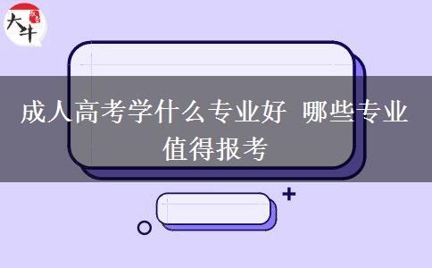 成人高考學(xué)什么專(zhuān)業(yè)好 哪些專(zhuān)業(yè)值得報(bào)考