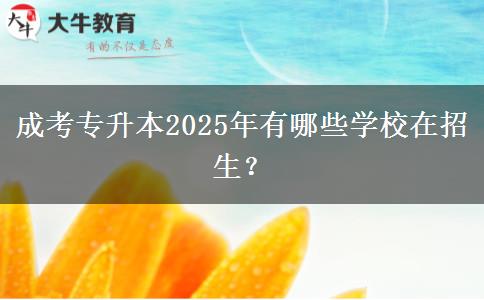 成考專升本2025年有哪些學(xué)校在招生？