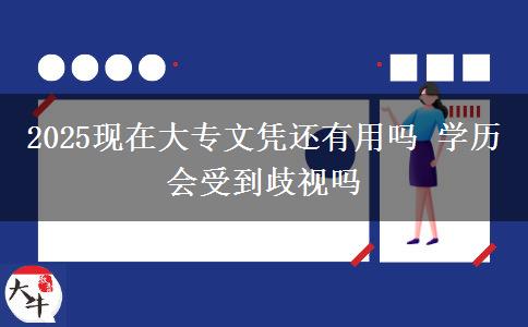 2025現(xiàn)在大專文憑還有用嗎 學(xué)歷會受到歧視嗎