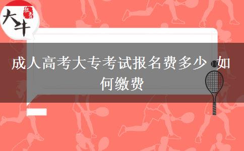 成人高考大?？荚噲?bào)名費(fèi)多少 如何繳費(fèi)