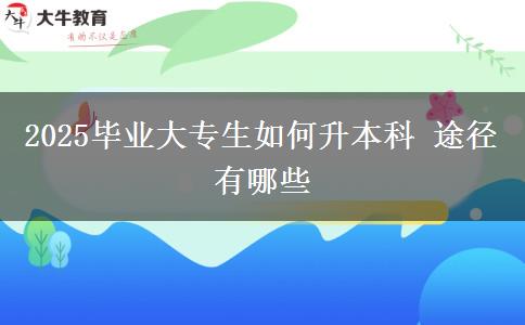 2025畢業(yè)大專(zhuān)生如何升本科 途徑有哪些