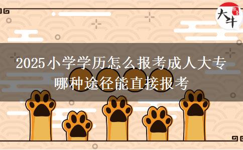 2025小學(xué)學(xué)歷怎么報(bào)考成人大專(zhuān) 哪種途徑能直接報(bào)考