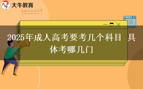 2025年成人高考要考幾個科目 具體考哪幾門