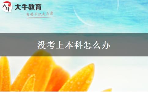沒考上本科怎么辦
