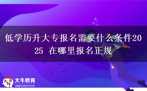 低學(xué)歷升大專(zhuān)報(bào)名需要什么條件2025 在哪里報(bào)名正規(guī)
