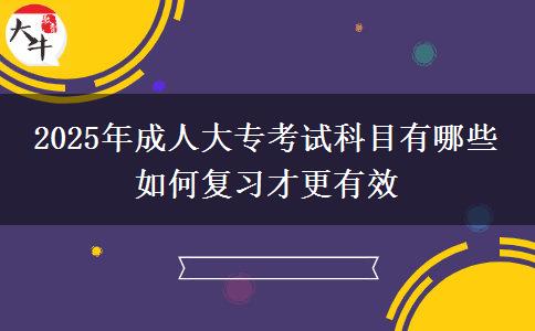 2025年成人大?？荚嚳颇坑心男?如何復(fù)習(xí)才更有效