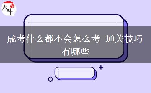 成考什么都不會怎么考 通關技巧有哪些