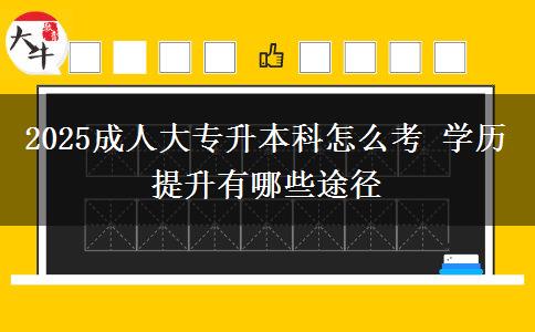 2025成人大專(zhuān)升本科怎么考 學(xué)歷提升有哪些途徑