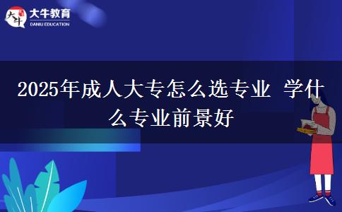 2025年成人大專怎么選專業(yè) 學什么專業(yè)前景好