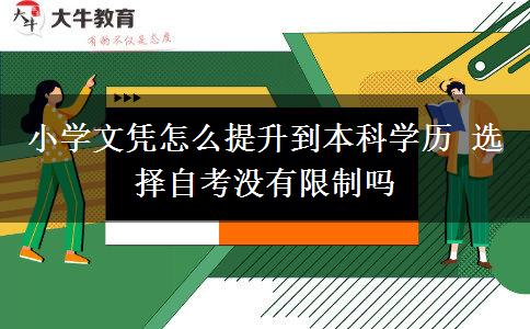 小學(xué)文憑怎么提升到本科學(xué)歷 選擇自考沒(méi)有限制嗎